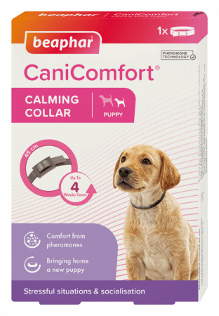 beaphar canicomfort calming collar halsbånd beroligende feromoner