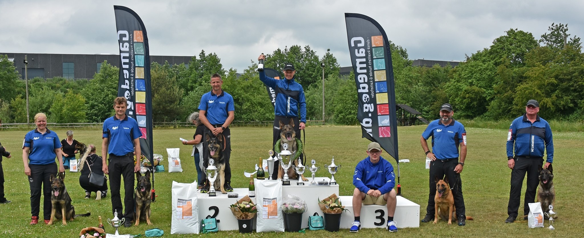 hundetrening og mental aktivisering