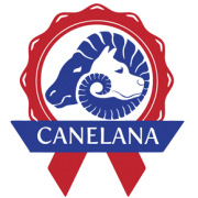 Canelana