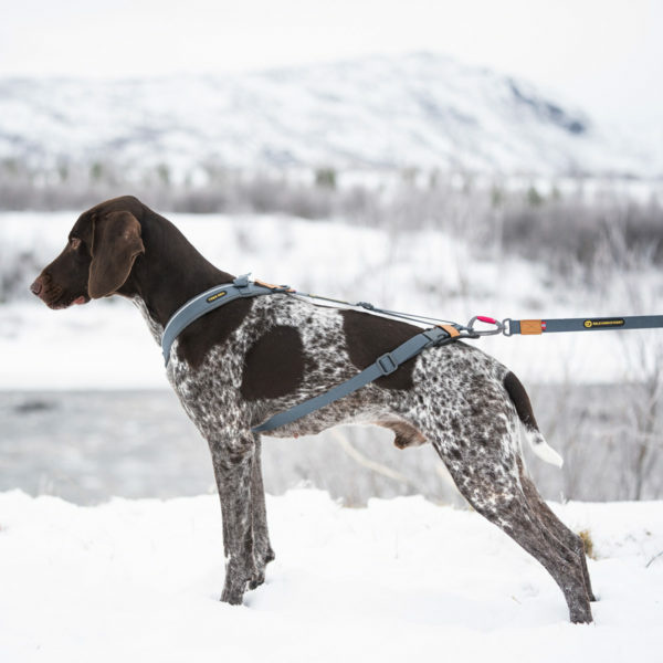 Seleverkstedet Trekreg dog harness