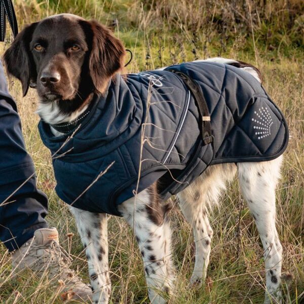 Varmedekken Catago FIR-Tech Trainer Hundedekken