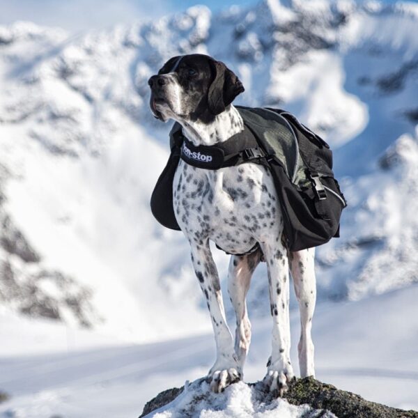 Non-Stop Dogwear Amundsen Kløv til hund