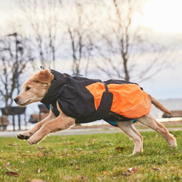 Non-Stop Dogwear Glacier Jacket 2.0 Vinter Varmedekken til hund