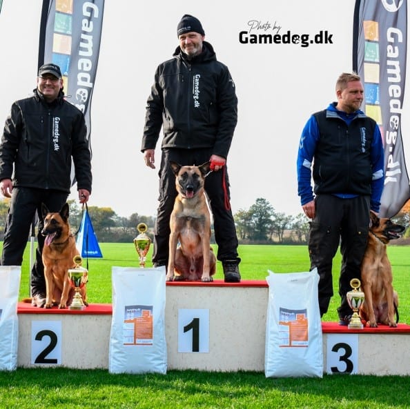 Gamedog Aktiv 15kg