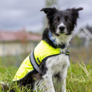 FerPlast Radius Refleksvest til hund med LED lys