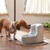 Petsafe drinkwell drikkefontene mini