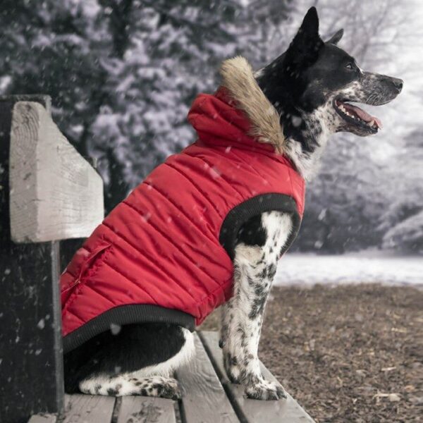 Canada Pooch North Pole Hundeparkas Vinterdekken