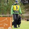 Gamedog Aktiv 15kg