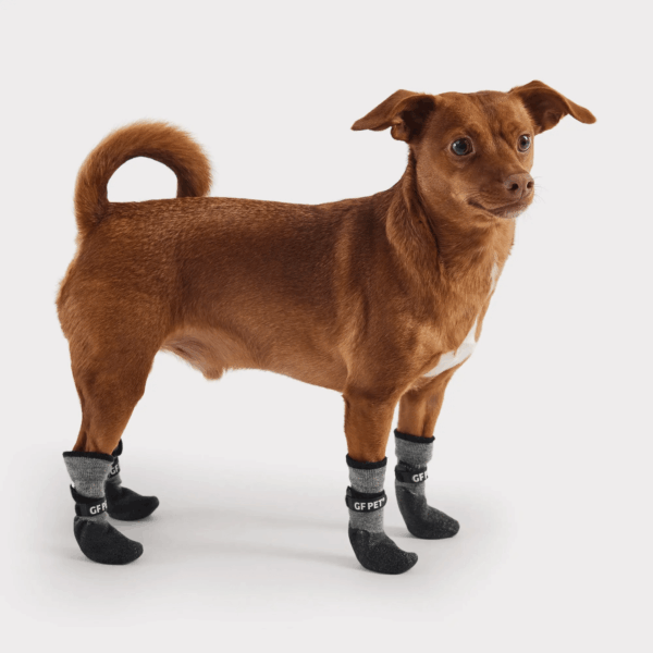 Go Fresh PET BOOTIES®-helårs støvler til hund