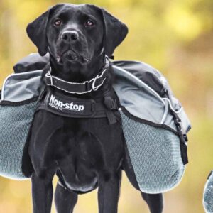 Non-Stop Dogwear Amundsen Kløv til hund