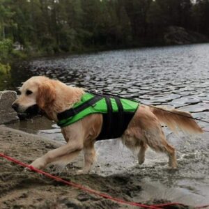 Rukka Flytevest Redningsvest Hund