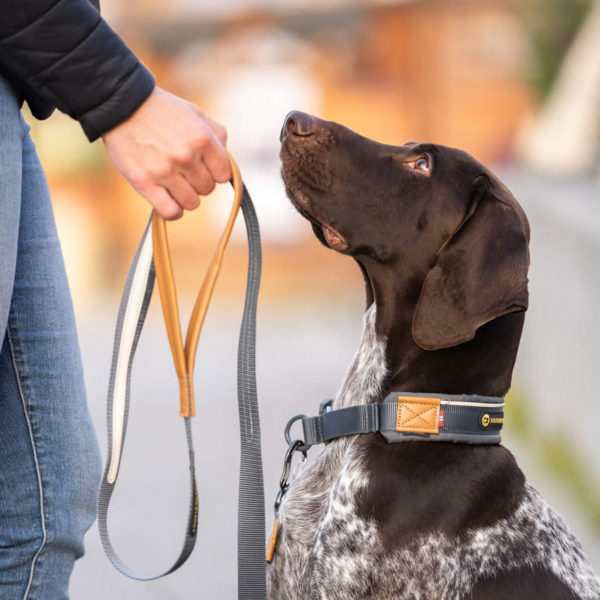 Seleverkstedet Link Dog lead