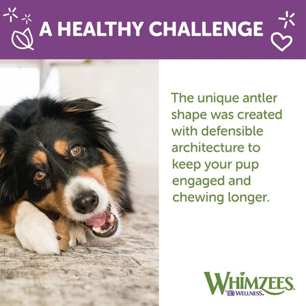 Whimzees Occupy Antler Dental Vegetar Tygg i pose