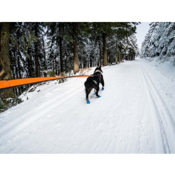 Non-Stop Dogwear Bungee Leash Elastisk Kjørestrikk Kobbel Blå