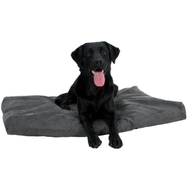 Buster Memory Foam Hundeseng Madrass