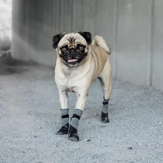 Go Fresh PET BOOTIES®-helårs støvler til hund