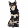 Go Fresh PET BOOTIES®-helårs støvler til hund