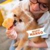 Smoofl Dog Ice Mix Hundeiskrem Mangosmak