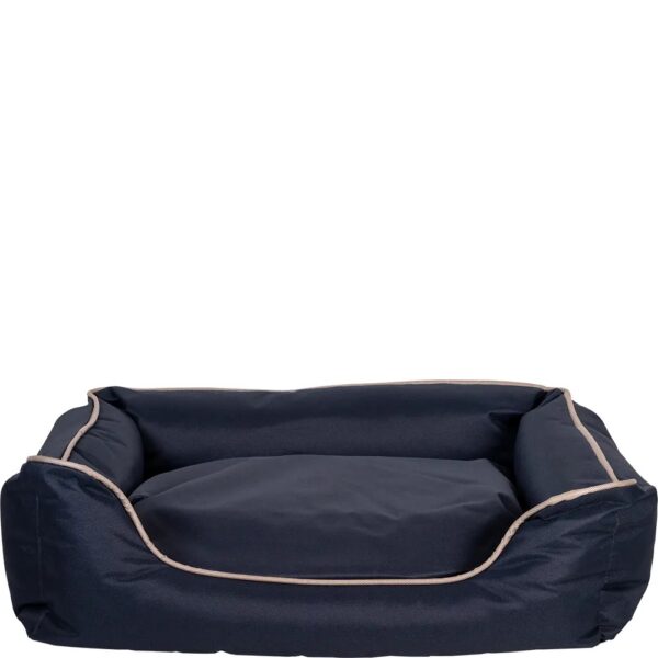 Hundeseng Ivar