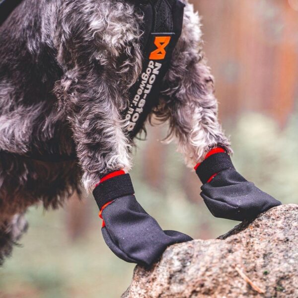 Non-Stop Dogwear Solid Sock Potesokk Hundesokk 4pk