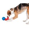 Linkables Orb fra PetSafe