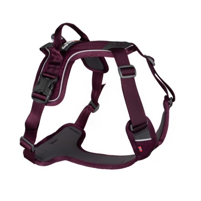 Ramble Harness Purple Hundesele S