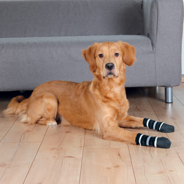 Trixie Hundesokker med antiskli