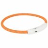 Trixie Safer Life USB Flash Lysring