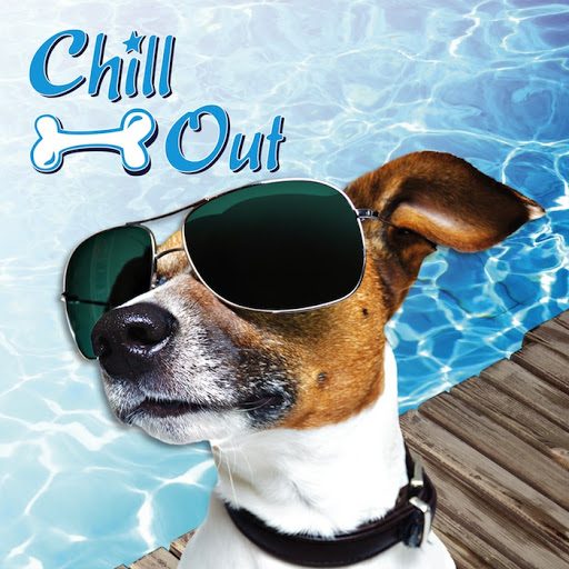AFP Chill Out Ice Bandana Kjølende Halstørkle Skjerf