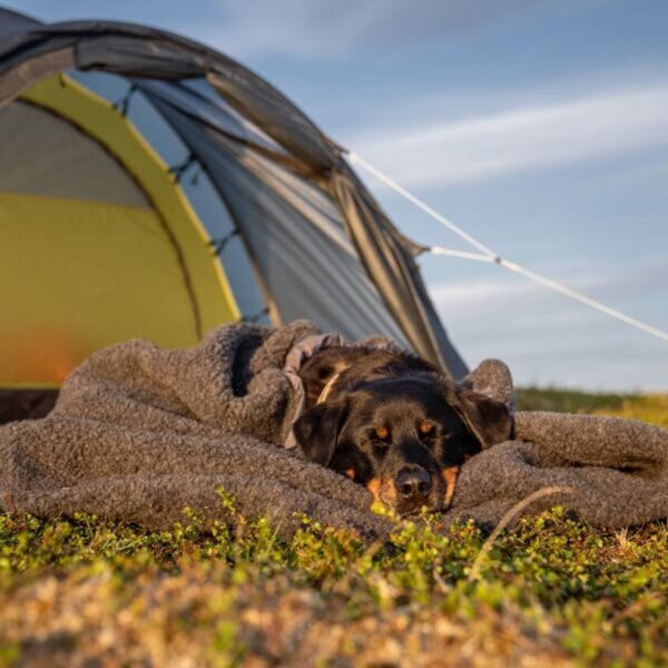 Canelana Cave Varmepose i ull til hund